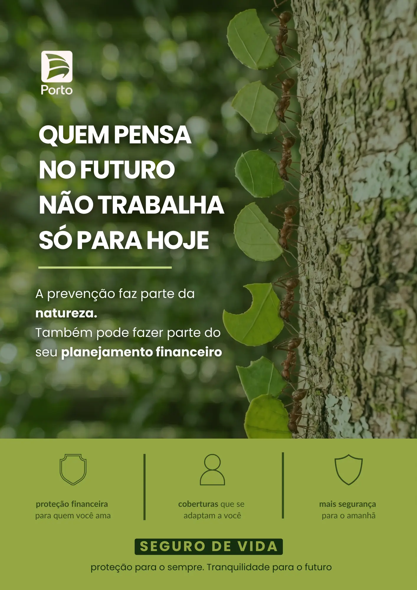 Quem pensa no futuro: seguro de vida e a lógica da natureza
